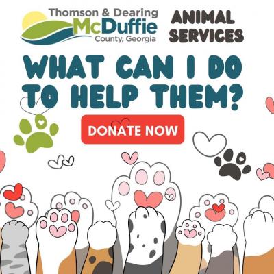 Animal Services Donate Now 